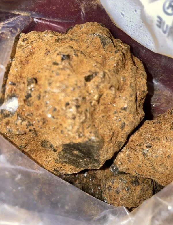 Buy Heroin Online Illinois, Where to buy Heroin Online Illinois, Where can i buy heroin online Illinois,How to buy Elon Illinois,Buy Heroin near me Illinois Buy Heroin Online Illinois, Where to buy Heroin Online Illinois, Where can i buy heroin online Illinois,How to buy Elon Illinois,Buy Heroin near me Illinois